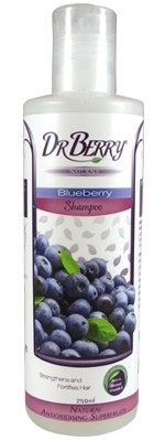 Dr Berry Naturals – Borůvkový šampon – 250 ml