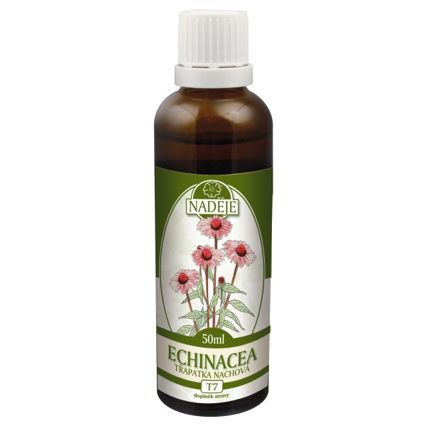 Echinacea - výtažek z byliny