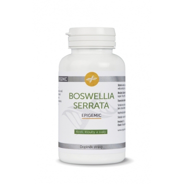 Boswellia Serrata Epigemic® (90 kapslí)