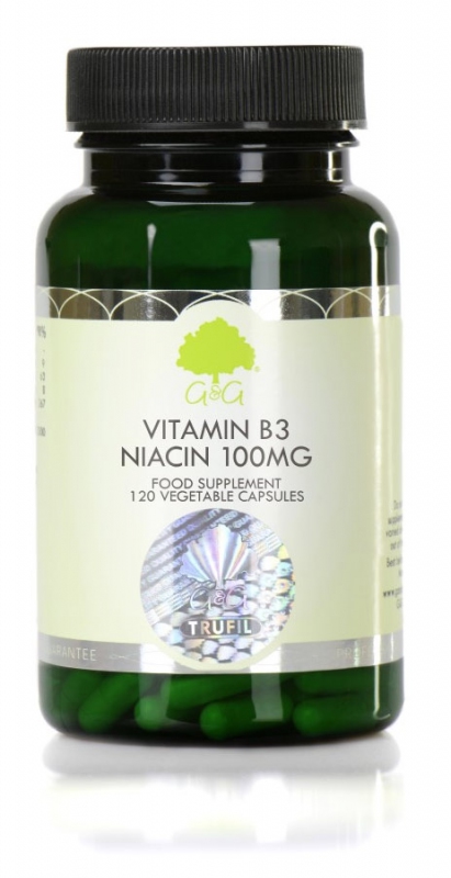 G&G Vitamins - Vitamin B3 Niacin 100 mg - 120 kapslí