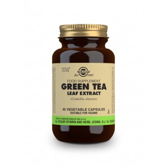 Solgar Green tea – Zelený čaj 60 cps