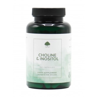 G&G Vitamins - CHOLIN & INOSITOL - 120 kapslí