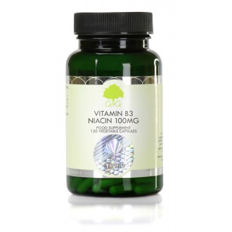 G&G Vitamins - VITAMÍN B3 Niacin 100 mg - 120 kapslí