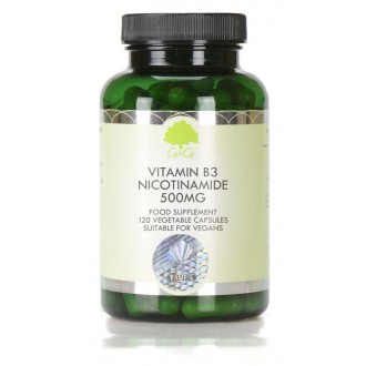 G&G Vitamins - VITAMÍN B3 Nikotinamid 500 mg - 120 kapslí