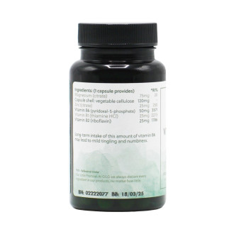 G&G Vitamins - Vitamin B6 Complex (P5P) - 30 kapslí - DMS 18.3.25