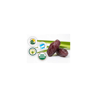 BIO Datle Medjoul 500 g – XL Jumbo – původ Izrael