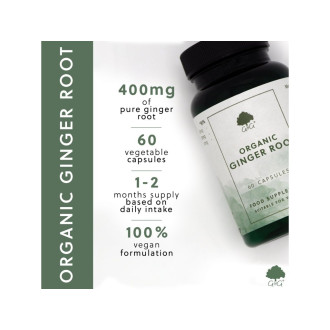 G&G Vitamins - BIO ZÁZVOROVÝ kořen - 60 kapslí