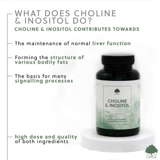 G&G Vitamins - CHOLIN & INOSITOL - 120 kapslí