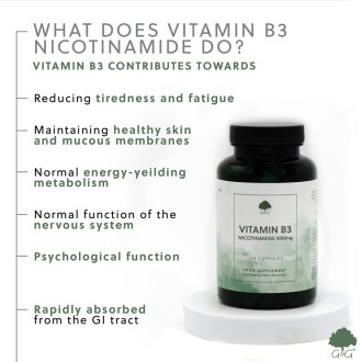 G&G Vitamins - VITAMÍN B3 Nikotinamid 500 mg - 120 kapslí