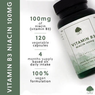 G&G Vitamins - VITAMÍN B3 Niacin 100 mg - 120 kapslí