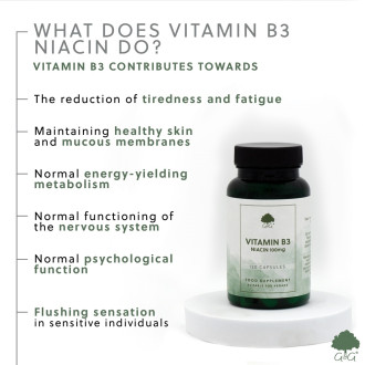 G&G Vitamins - VITAMÍN B3 Niacin 100 mg - 120 kapslí