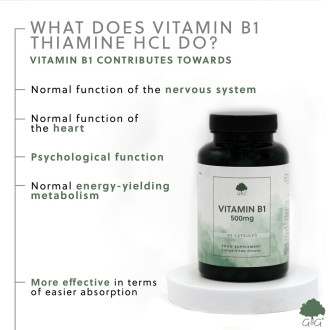 G&G Vitamins - VITAMÍN B1 Thiamin HCL 500 mg - 90 kapslí