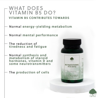 G&G Vitamins - Vitamin B5 500 mg-kyselina pantotenová - 60 veganských kapslí