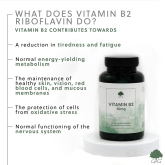 G&G Vitamins - Vitamin B2 Riboflavin 50 mg - 120 kapslí