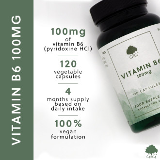 G&G Vitamins - VITAMÍN  B6 pyridoxin 100 mg - 120 kapslí