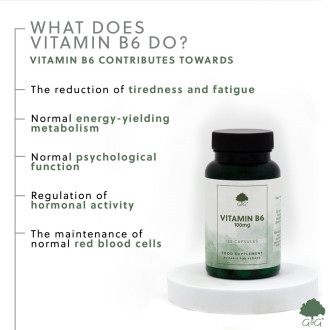 G&G Vitamins - VITAMÍN  B6 pyridoxin 100 mg - 120 kapslí