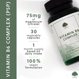 G&G Vitamins - Vitamin B6 Complex (P5P) - 30 kapslí - DMS 18.3.25