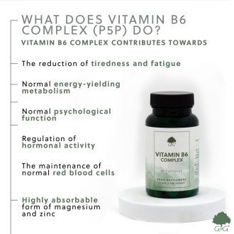 G&G Vitamins - Vitamin B6 Complex (P5P) - 30 kapslí - DMS 18.3.25