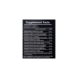 Eterna Vita - Shilajit Complex - 60 kapslí