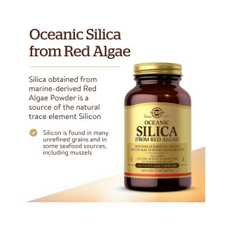 Solgar Oceanic Silica 25 mg 100 kapslí
