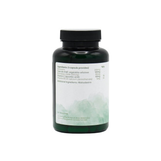 G&G Vitamins - Quercetin Komplex - 120 kapslí - DMS 15.8.2025